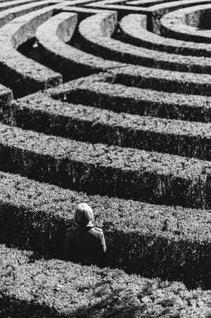 person lost in a garden maze